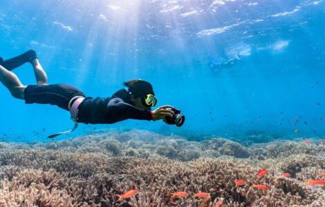 Port Ghalib nurkowanie i snorkeling