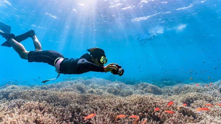 Port Ghalib nurkowanie i snorkeling