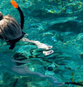 Snorkeling w Port Ghalib – gdzie pływać z maską i rurką?