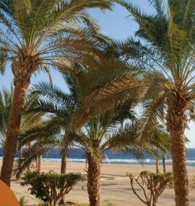 Pogoda w Port Ghalib w kwietniu