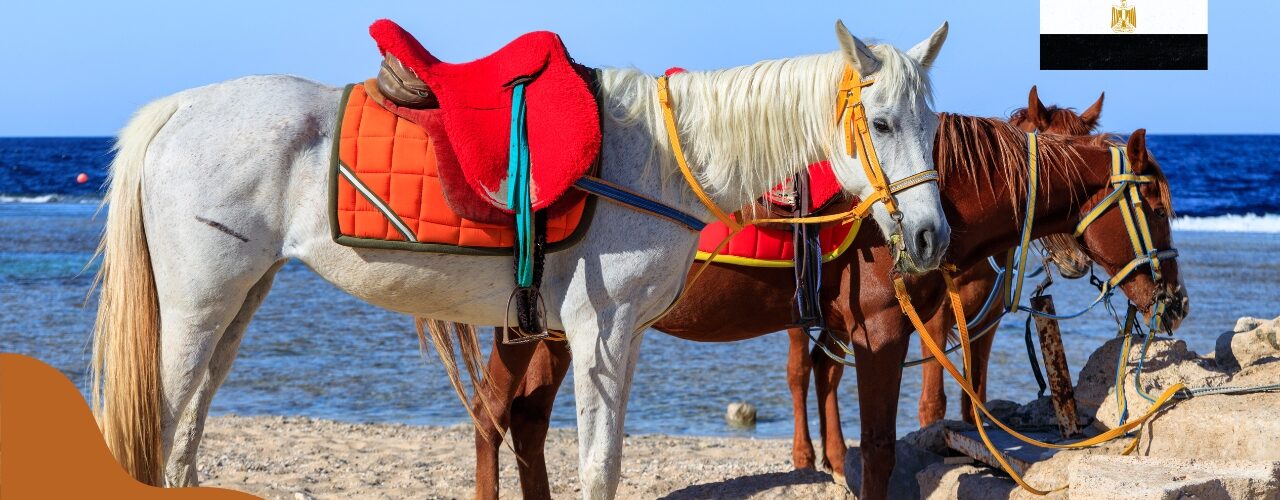 Pogoda w Port Ghalib we wrześniu