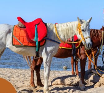 Pogoda w Port Ghalib we wrześniu