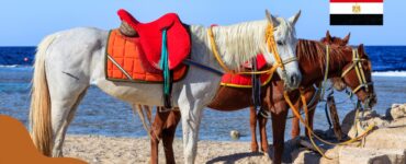 Pogoda w Port Ghalib we wrześniu