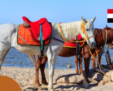 Pogoda w Port Ghalib we wrześniu