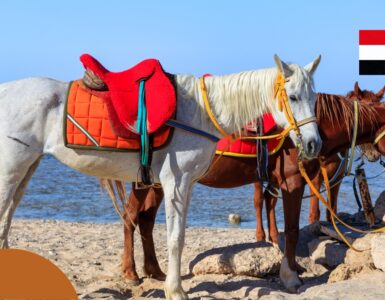 Pogoda w Port Ghalib we wrześniu