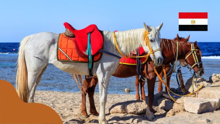 Pogoda w Port Ghalib we wrześniu