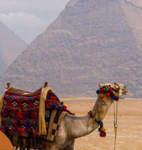 Pogoda w Port Ghalib w listopadzie